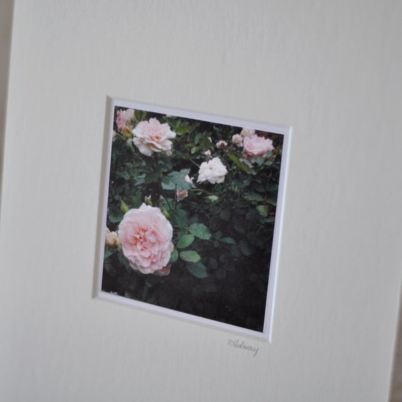 "Roses" Mini Photography Art Print - Picture 2 of 3